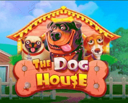 Play The Dog House in Lizaro Casino